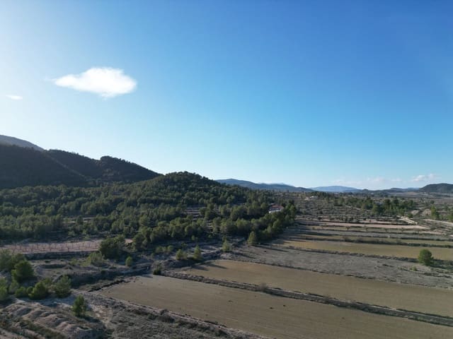 Tomt till salu i Monóvar / Monóver - 54 950 € (Ref: 9106418)