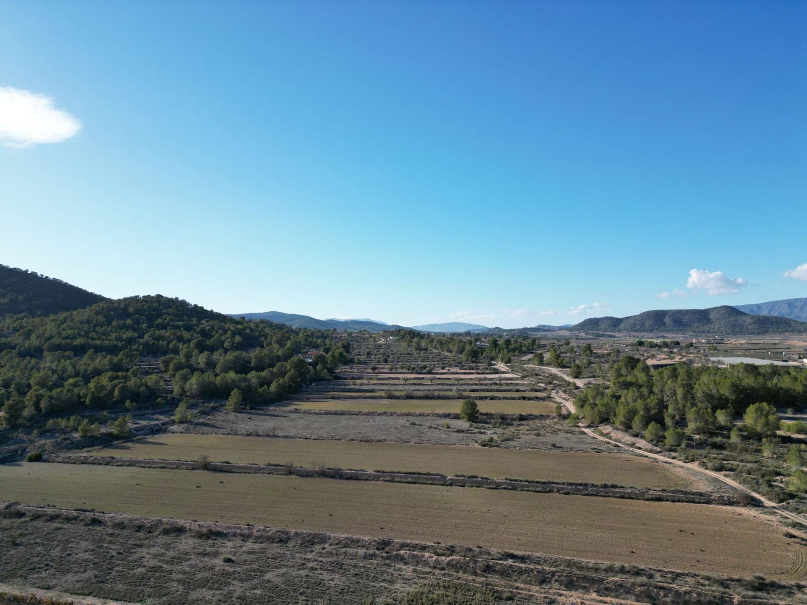 Tomt till salu i Monovar / Monover - 54 950 € (Ref: 9106418)