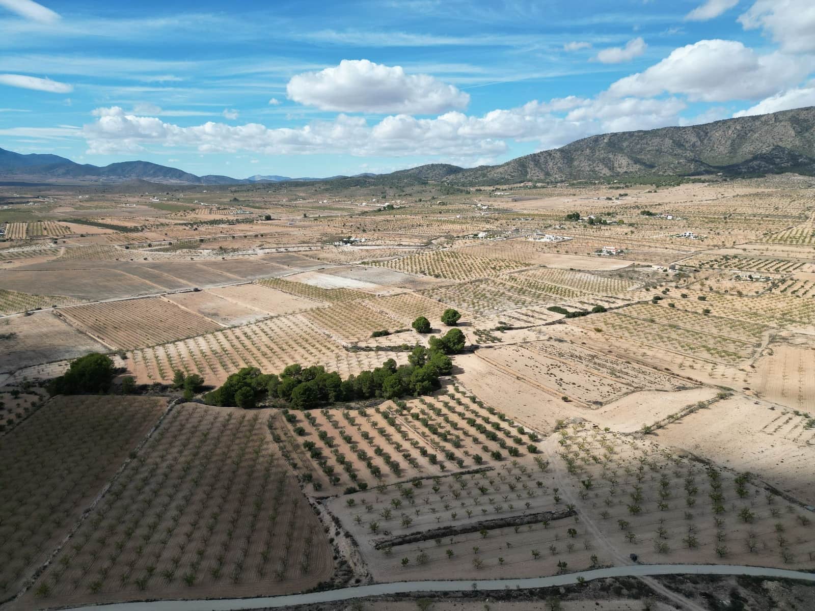 Bouwgrond te koop in Pinoso - € 49.500 (Ref: 9362968)