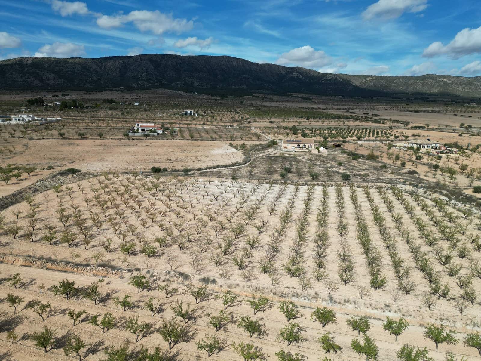 Byggegrund til salg i Pinoso - € 49.500 (Ref: 9362969)