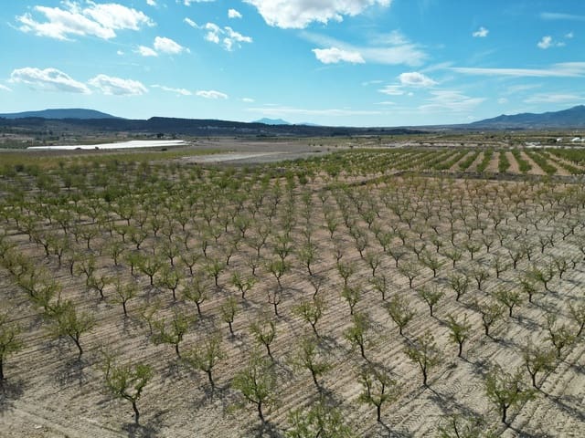 Bouwgrond te koop in Pinoso - € 49.500 (Ref: 9362969)