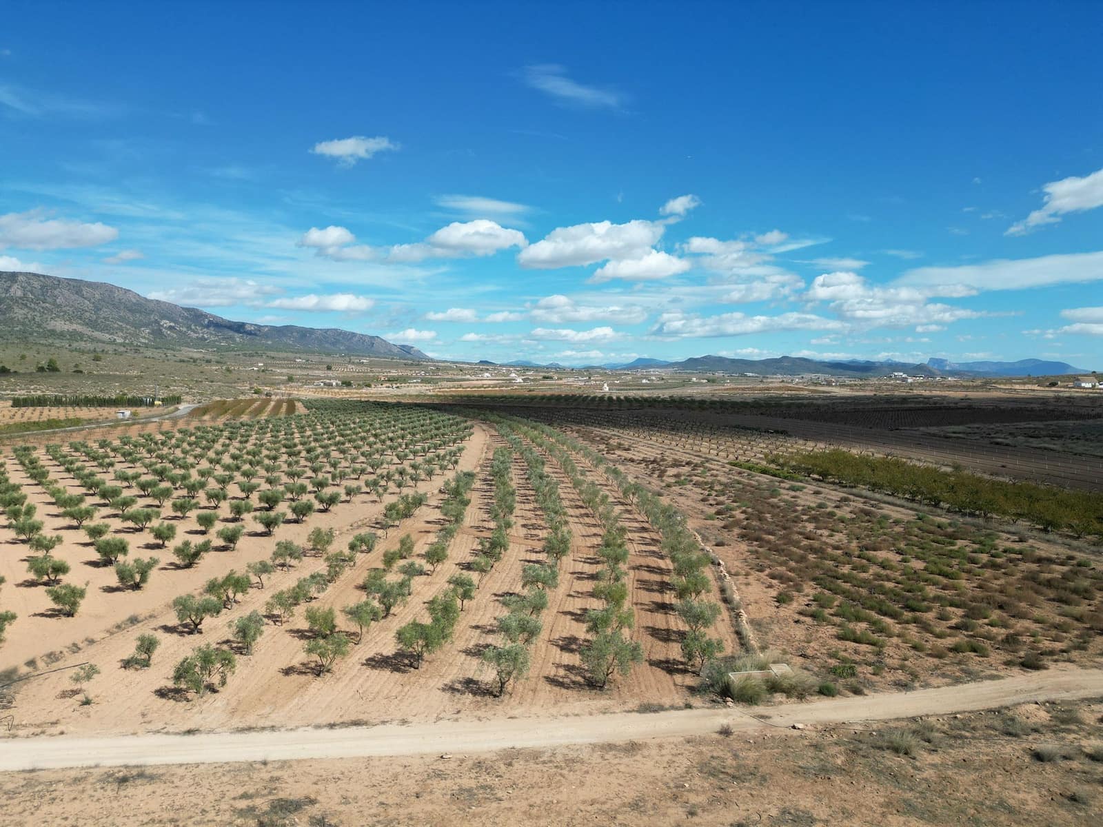 Byggetomt til salgs i Lel - € 54 995 (Ref: 9362970)