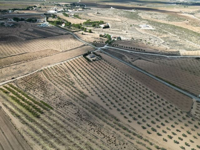 Bouwgrond te koop in Lel, Pinoso - € 54.995 (Ref: 9362970)