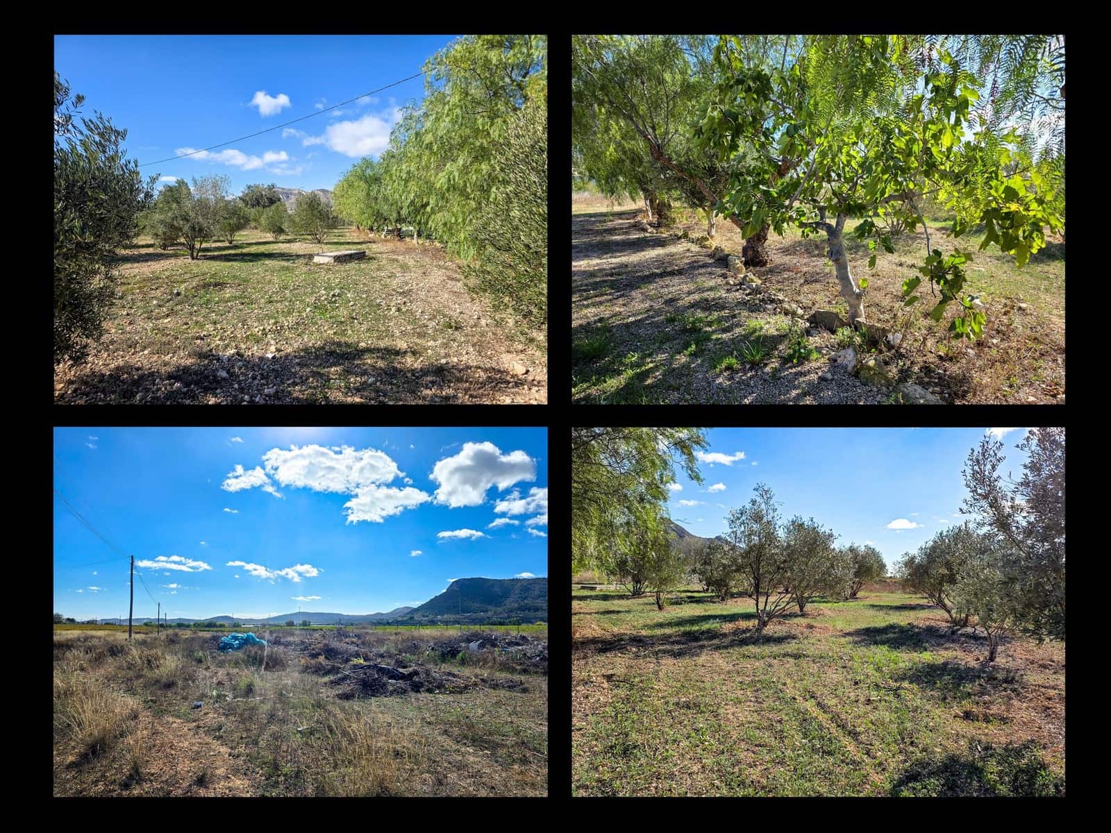 4 makuuhuone Huvila myytävänä paikassa Aspe mukana uima-altaan - 389 950 € (Ref: 9385337)