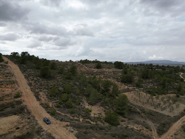 Bouwgrond te koop in La Zarza, Jumilla - € 45.000 (Ref: 9385352)