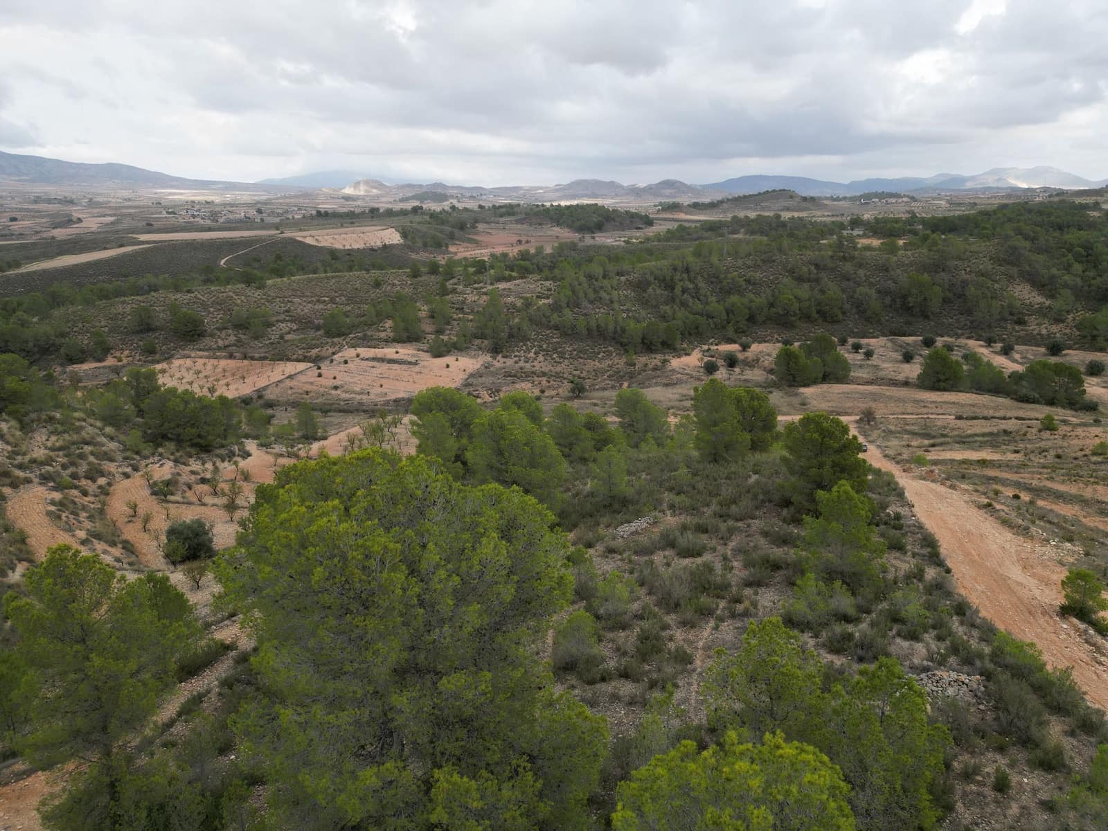 Terrain à Bâtir à vendre à La Zarza - 45 000 € (Ref: 9385352)
