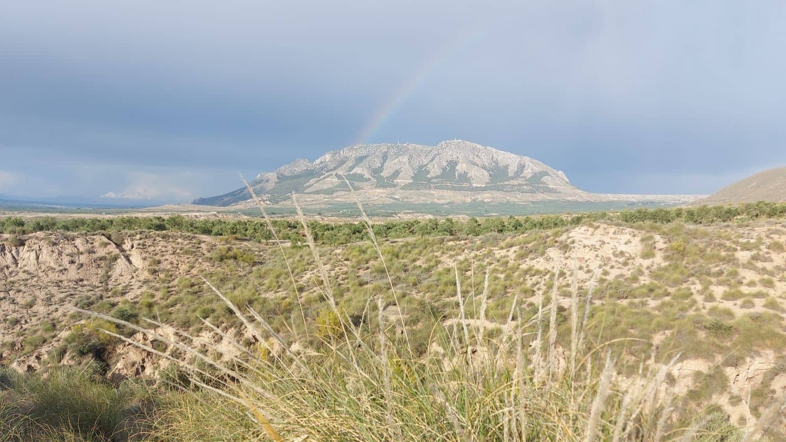 3 bedroom Villa for sale in Freila - € 184,995 (Ref: 9388580)