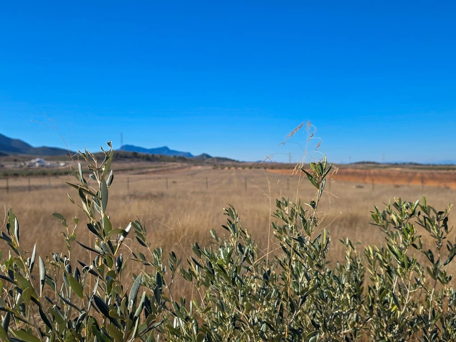 4 bedroom Villa for sale in Jumilla with pool garage - € 299,995 (Ref: 9388588)