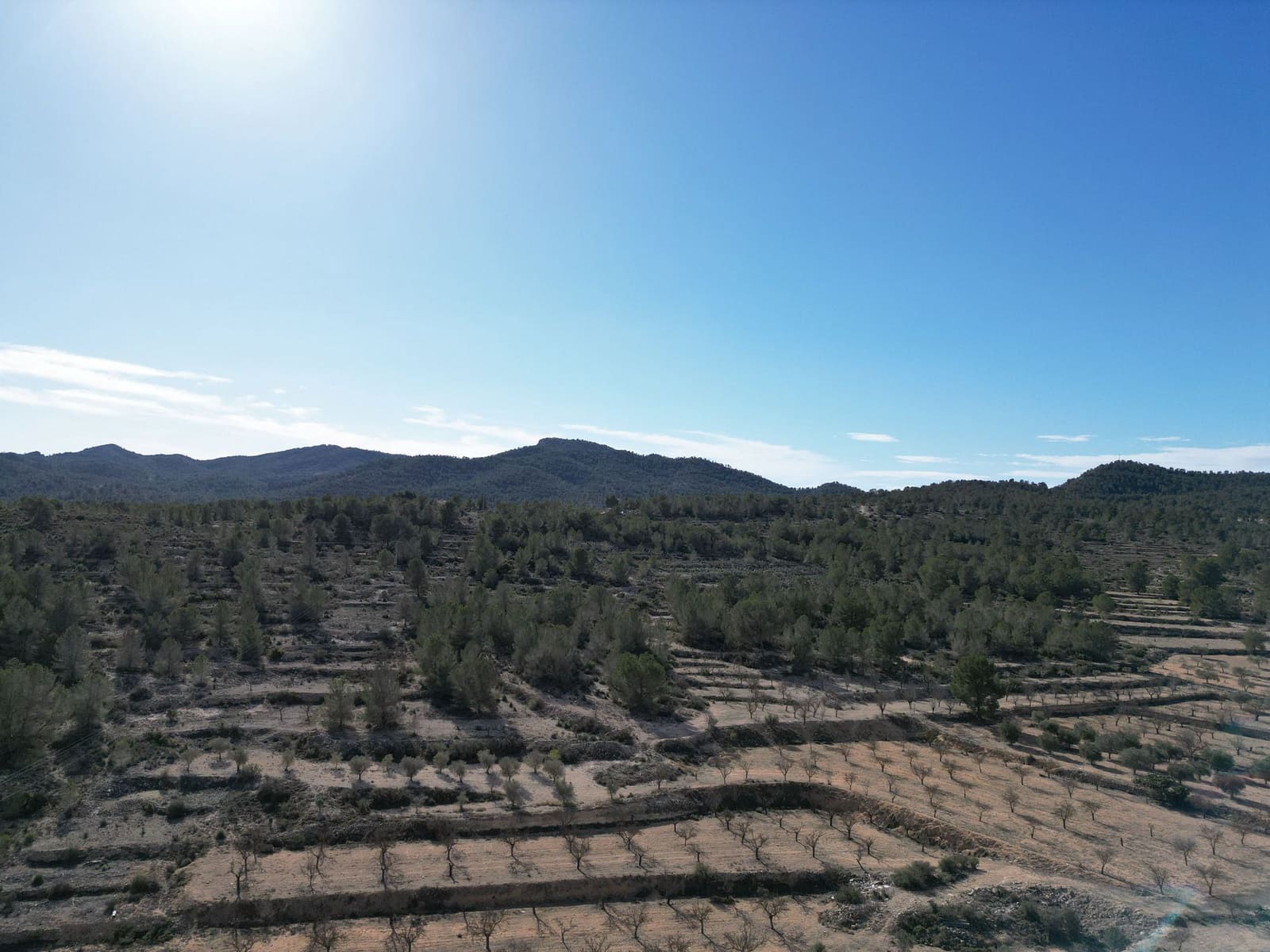 Finca/Country House for sale in Monovar / Monover - € 170,000 (Ref: 9388598)