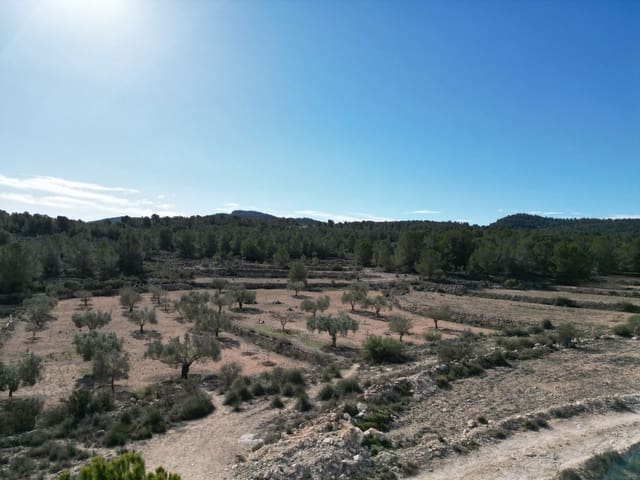 Finca/Casa di Campagna in vendita in Monóvar / Monóver - 170.000 € (Rif: 9388598)