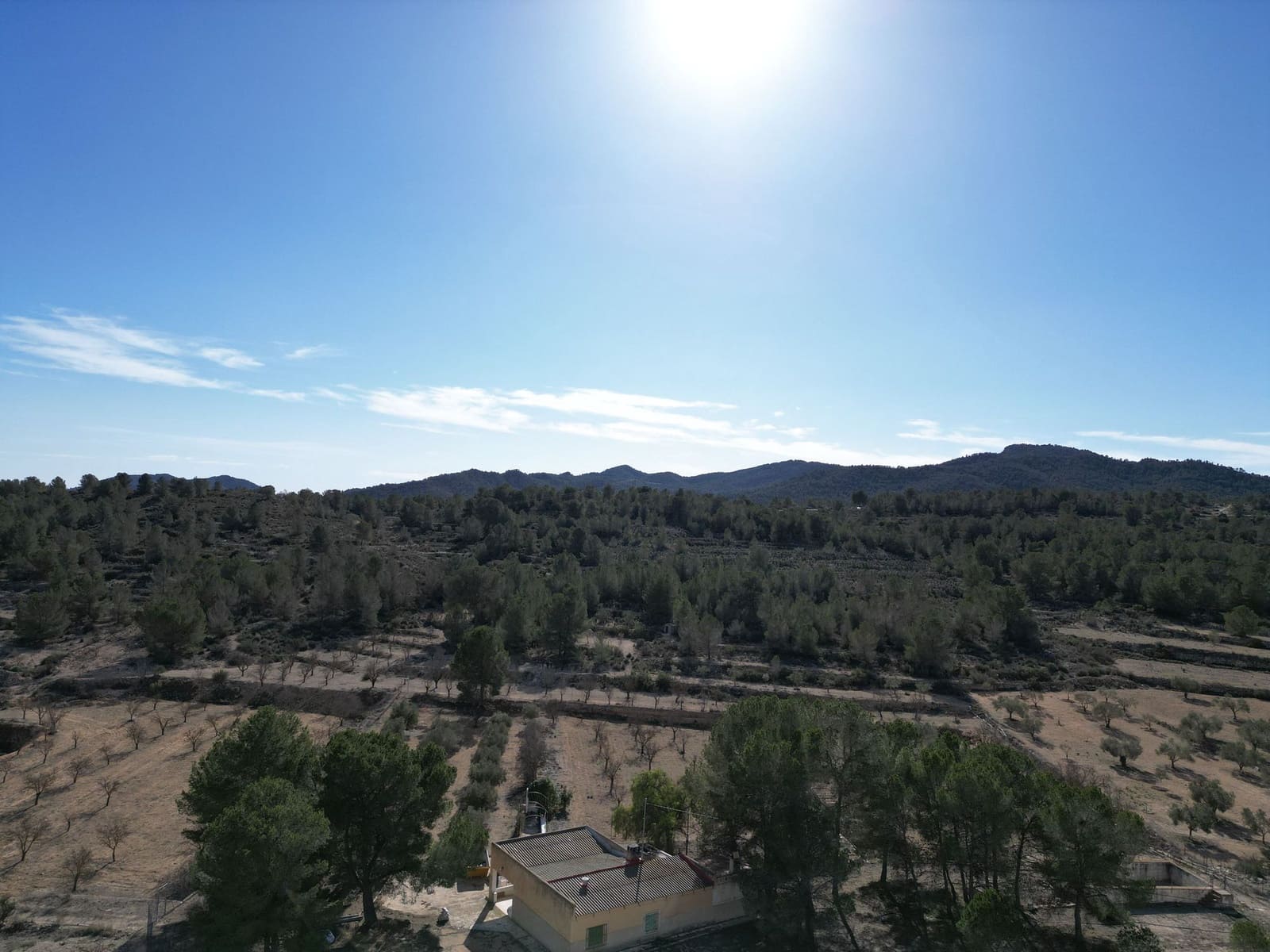 Finca/Country House for sale in Monovar / Monover - € 170,000 (Ref: 9388598)