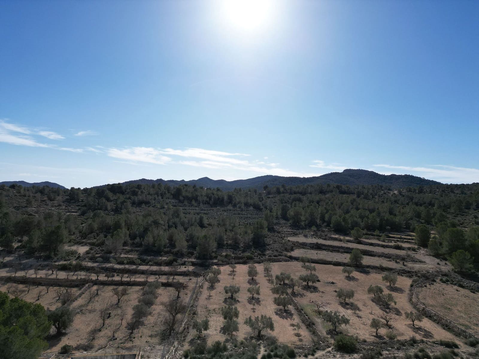 Finca/Country House for sale in Monovar / Monover - € 170,000 (Ref: 9388598)