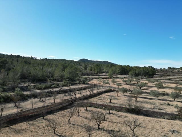 Finca/Casa di Campagna in vendita in Monóvar / Monóver - 170.000 € (Rif: 9388598)