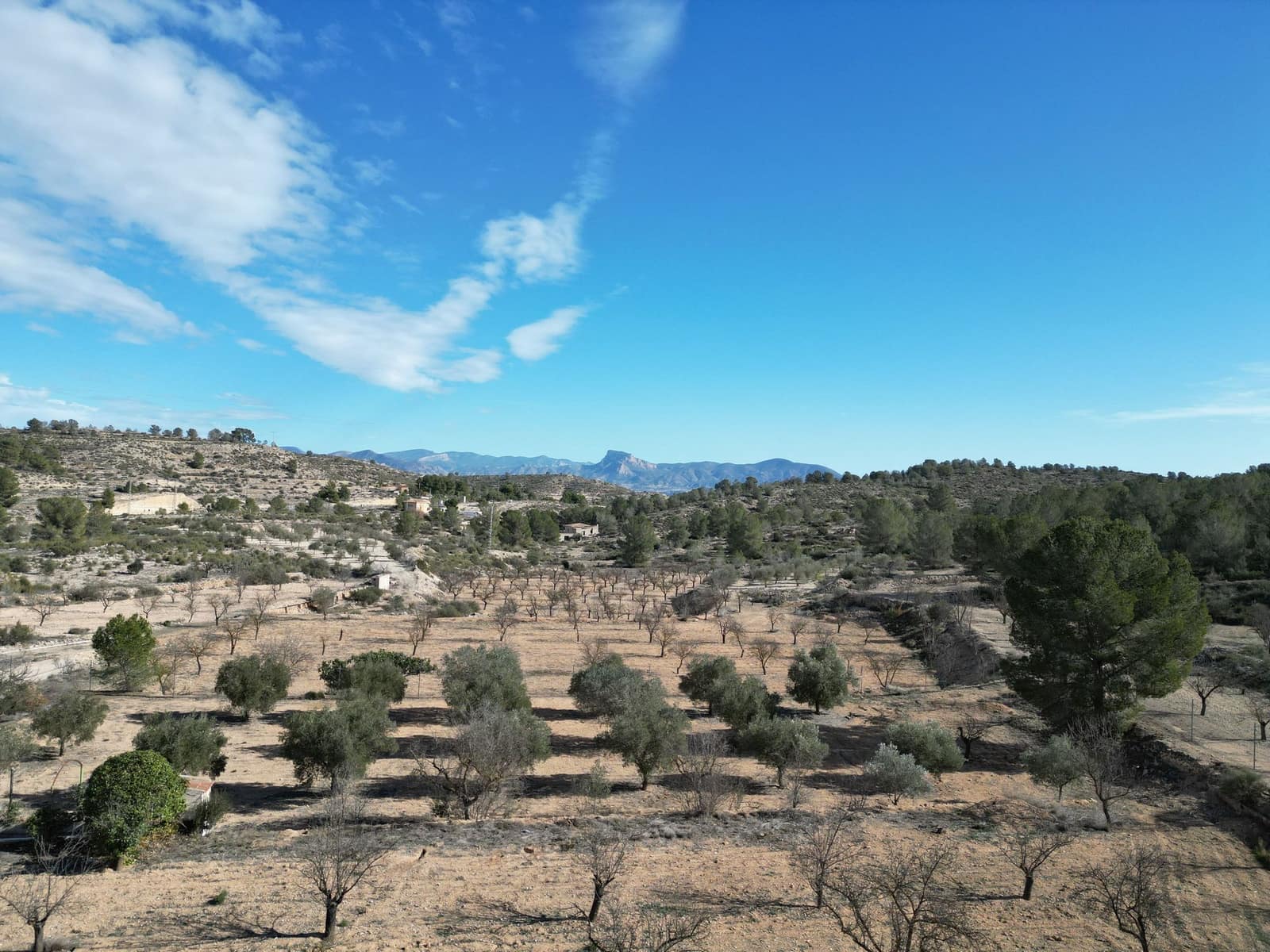 Finca/Country House for sale in Monovar / Monover - € 170,000 (Ref: 9388598)