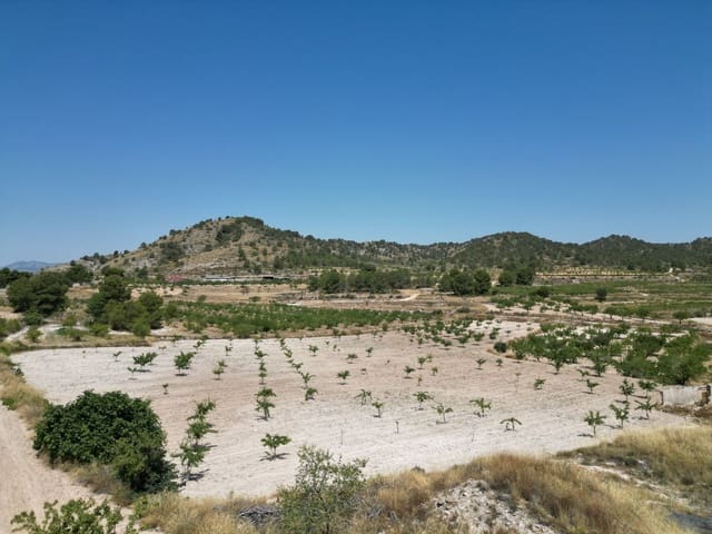 Ruin for sale in Monóvar / Monóver - € 59,950 (Ref: 9388600)