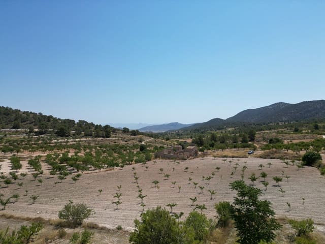 Ruin for sale in Monóvar / Monóver - € 59,950 (Ref: 9388600)