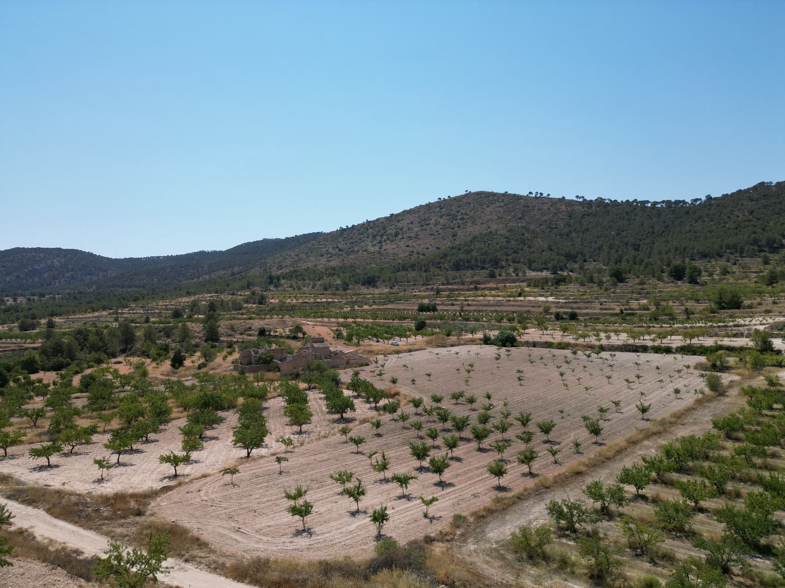 Ruin till salu i Monovar / Monover - 59 950 € (Ref: 9388600)