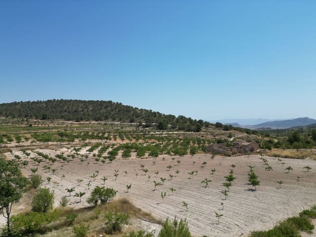 Ruin for sale in Monóvar / Monóver - € 59,950 (Ref: 9388600)