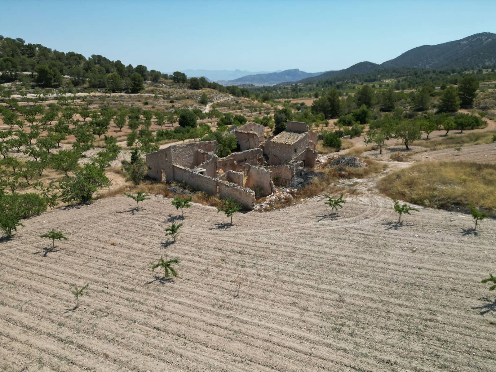 Ruin till salu i Monovar / Monover - 59 950 € (Ref: 9388600)