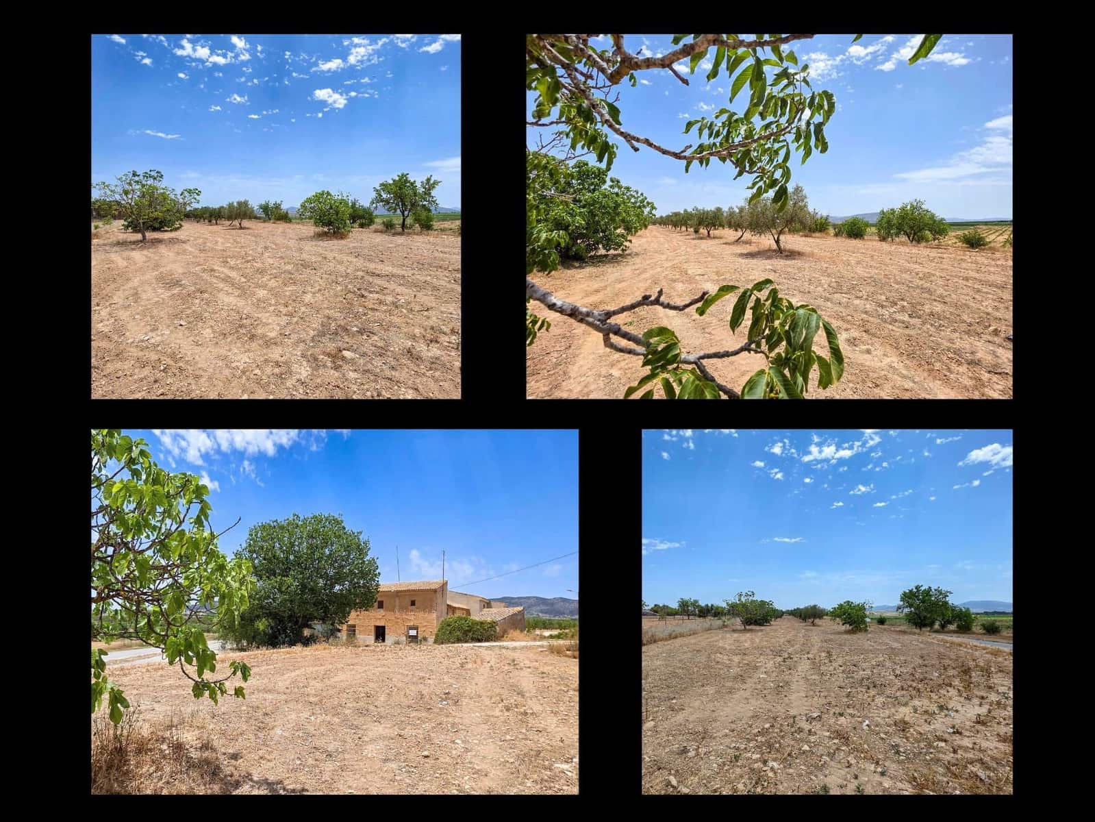 Finca/Landehus til salg i Pinoso med garage - € 310.000 (Ref: 9390427)