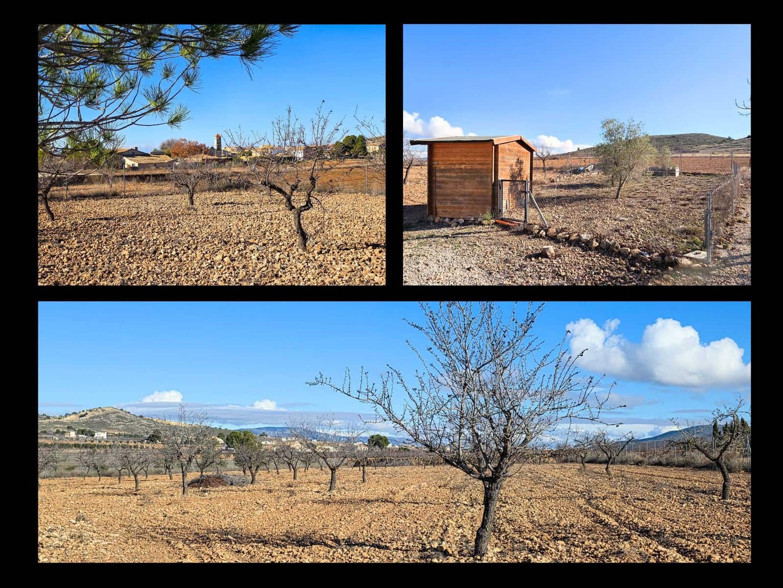 3 bedroom Villa for sale in Jumilla with pool - € 329,995 (Ref: 9841476)