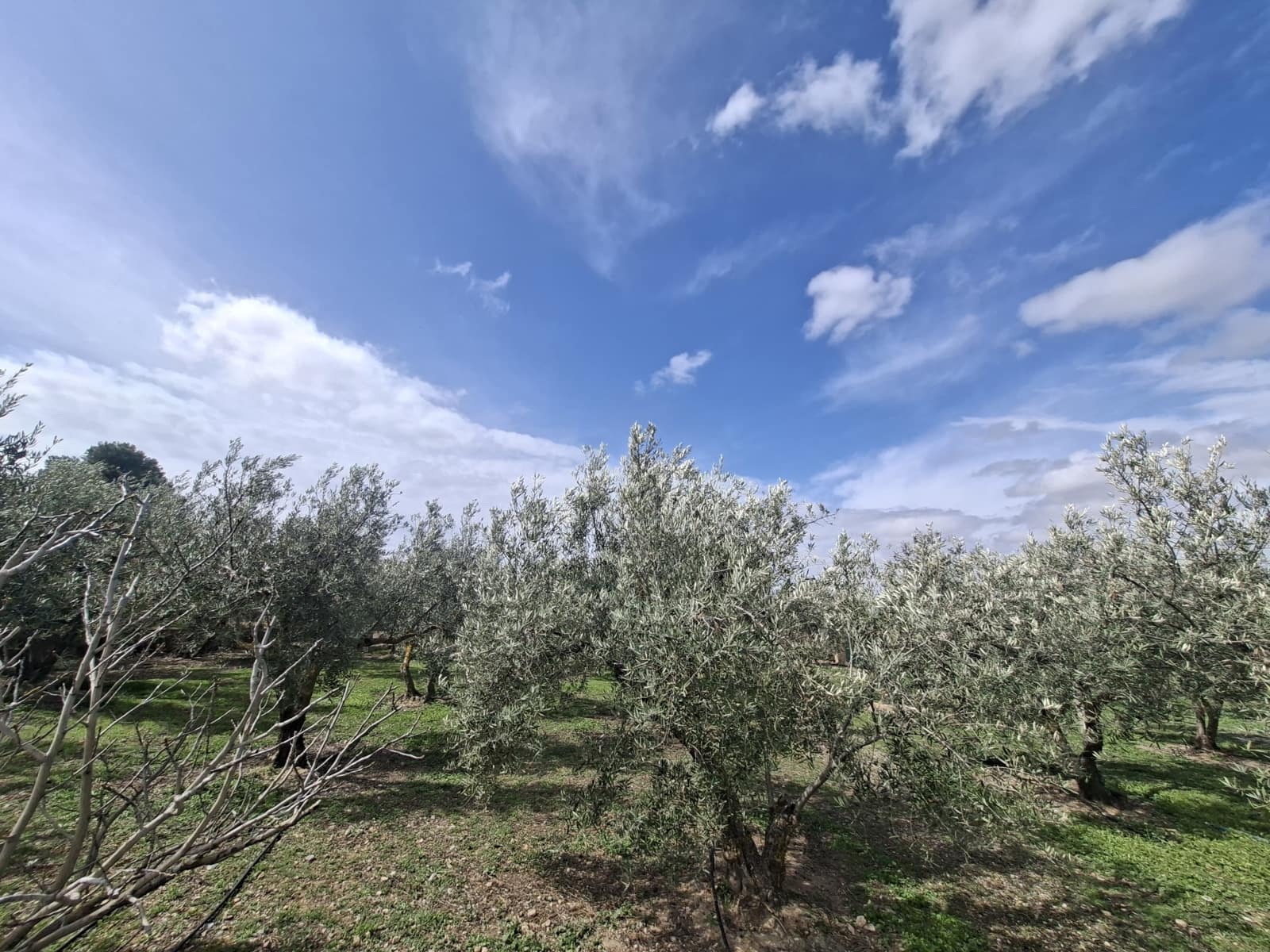 3 bedroom Finca/Country House for sale in Freila with pool - € 239,000 (Ref: 9841485)
