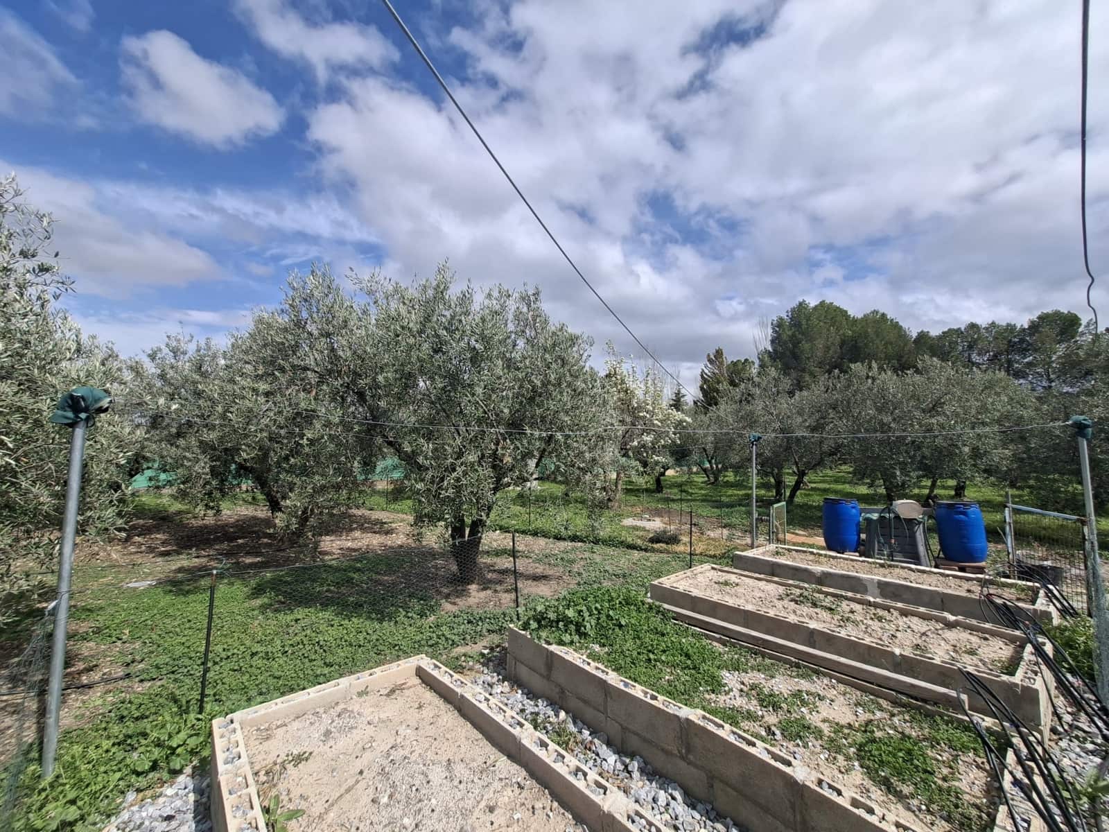 3 bedroom Finca/Country House for sale in Freila with pool - € 239,000 (Ref: 9841485)