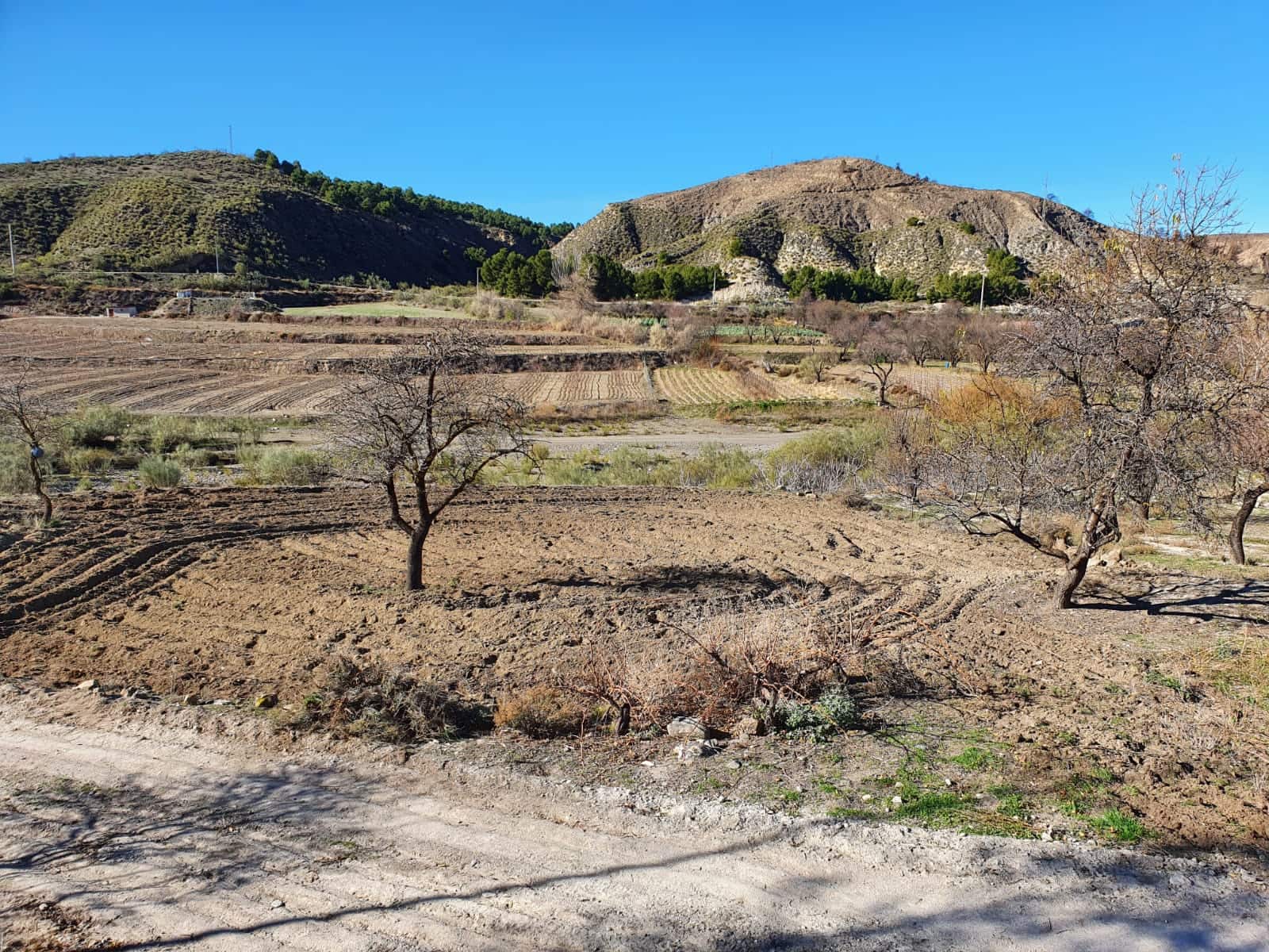 4 soveværelse Finca/Landehus til salg i Caniles - € 144.900 (Ref: 9841495)