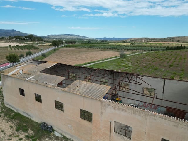 Grunde uden byggetilladelser til salg i Pinoso - € 170.000 (Ref: 9843777)