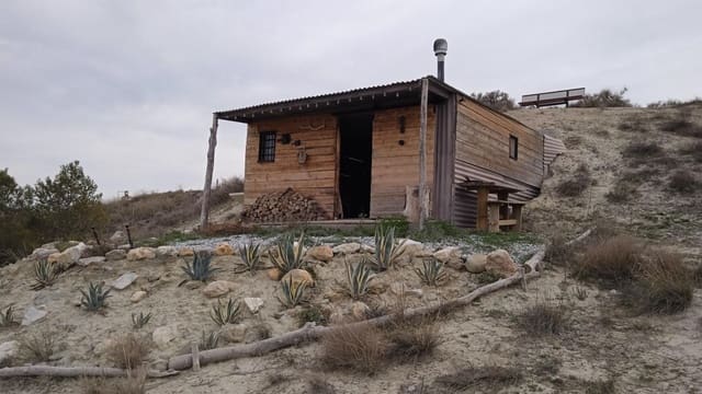 5 soveværelse Hulehus til salg i Baza med swimmingpool - € 339.000 (Ref: 9882491)