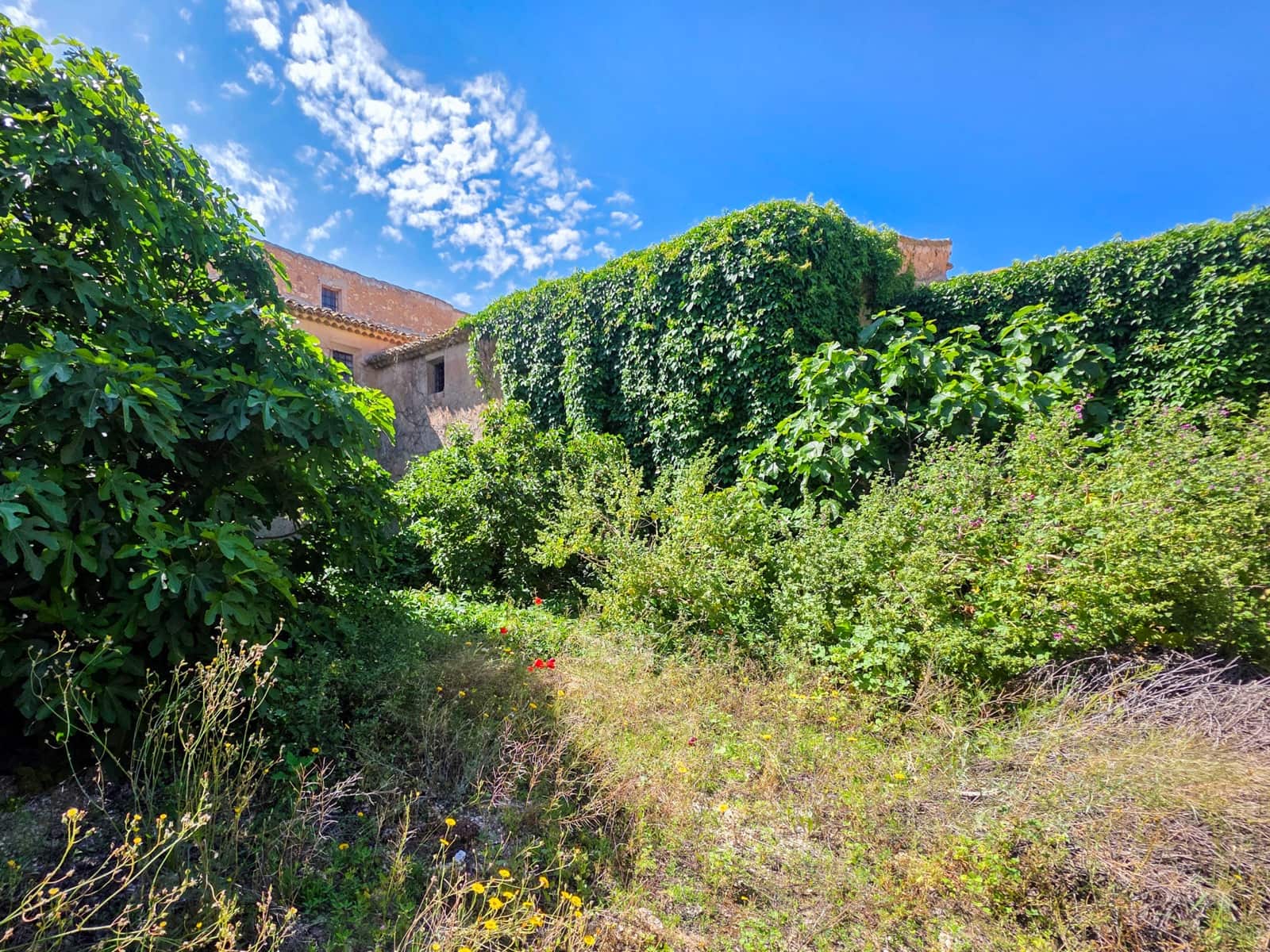 6 sovrum Finca/Hus på landet till salu i Pinoso - 199 000 € (Ref: 9882495)
