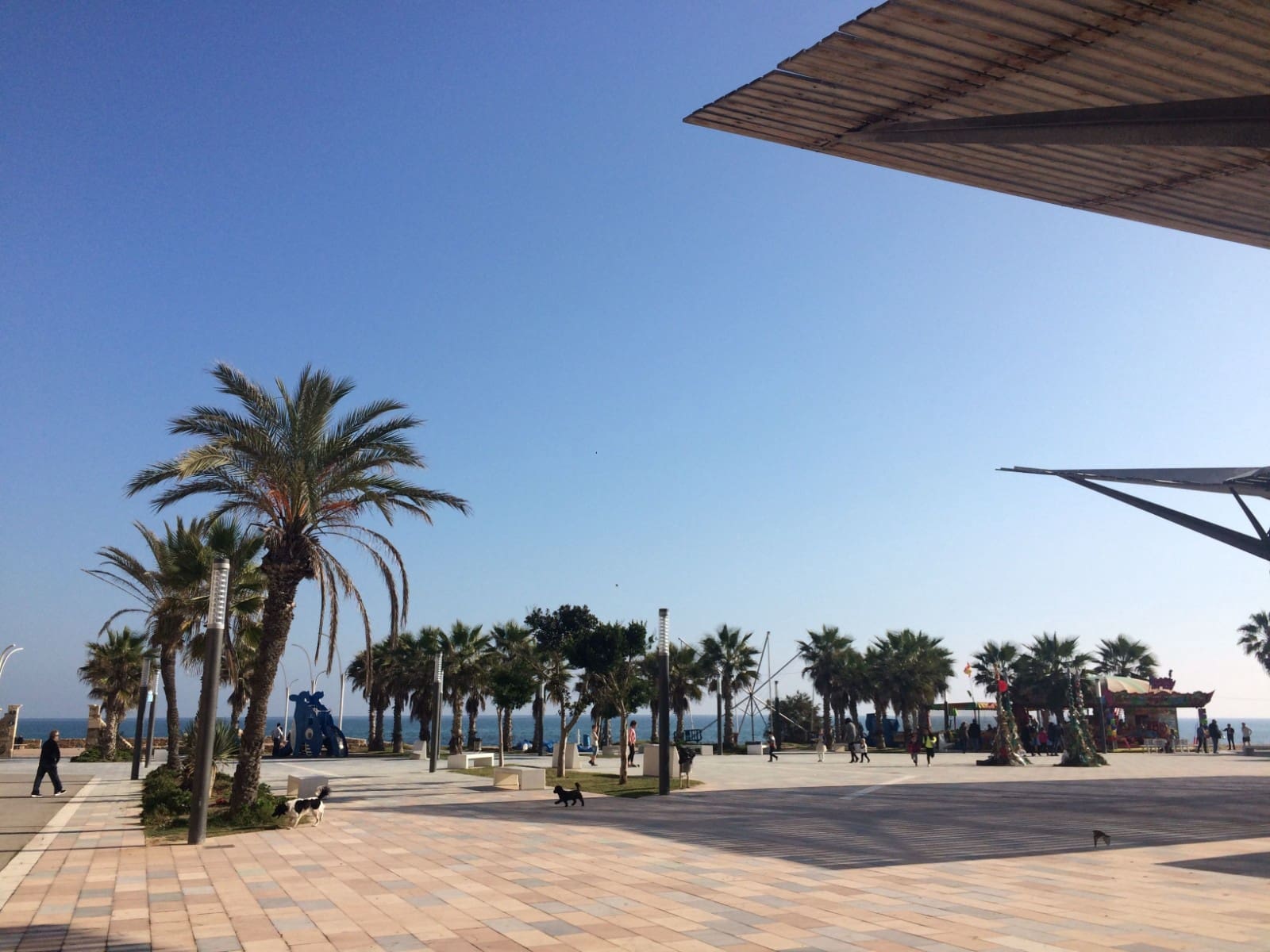 3 bedroom Villa for sale in San Luis with pool garage - € 799,000 (Ref: 10043524)