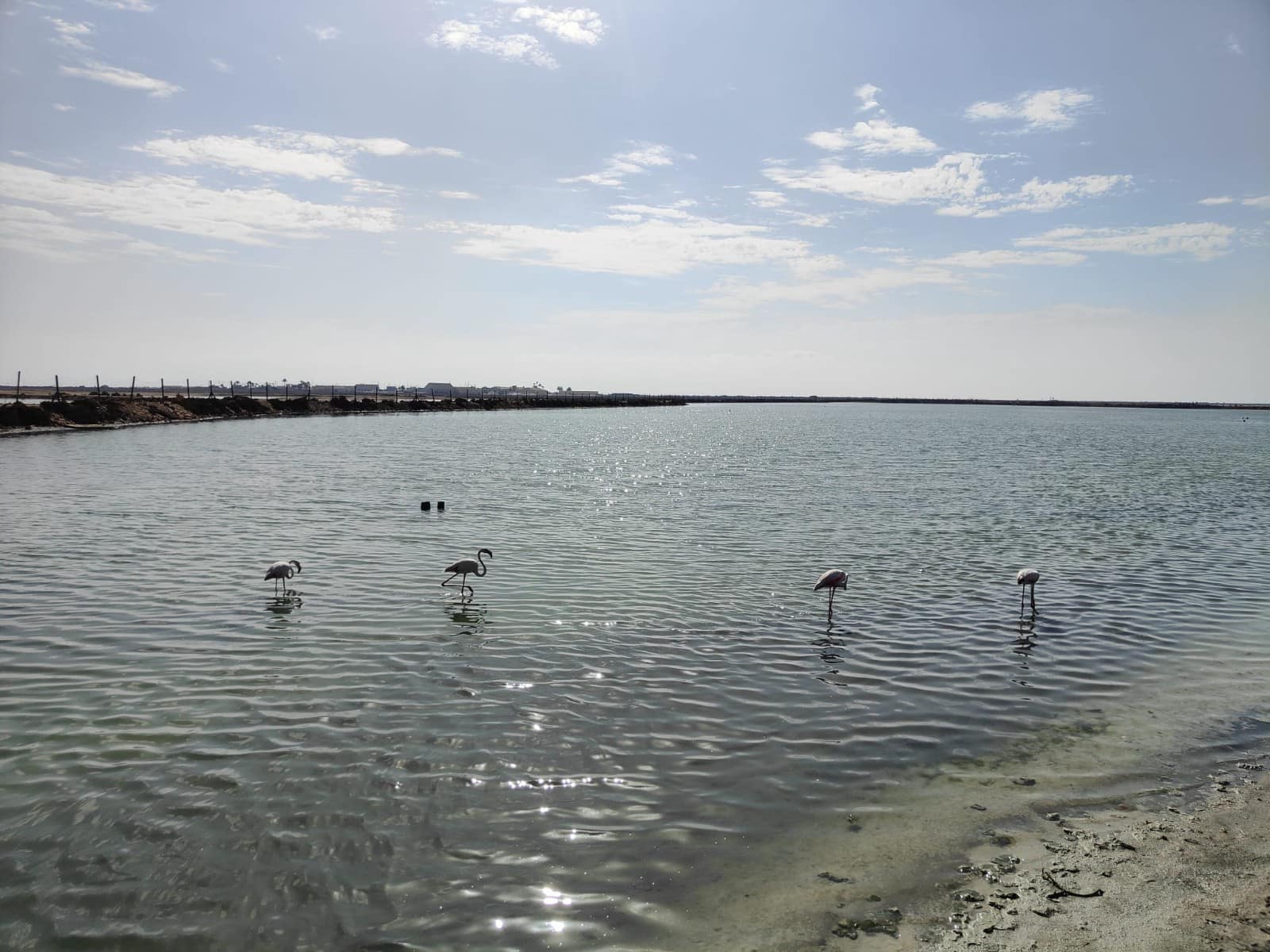 3 quarto Moradia para venda em San Pedro del Pinatar com piscina garagem - 569 950 € (Ref: 9000331)