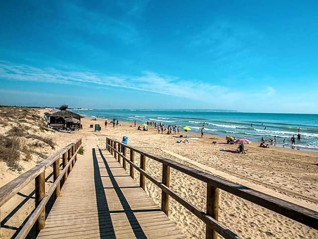 4 makuuhuone Huvila myytävänä paikassa La Marina, Elche / Elx mukana uima-altaan 
autotalli - 1 188 500 € (Ref: 9164379)