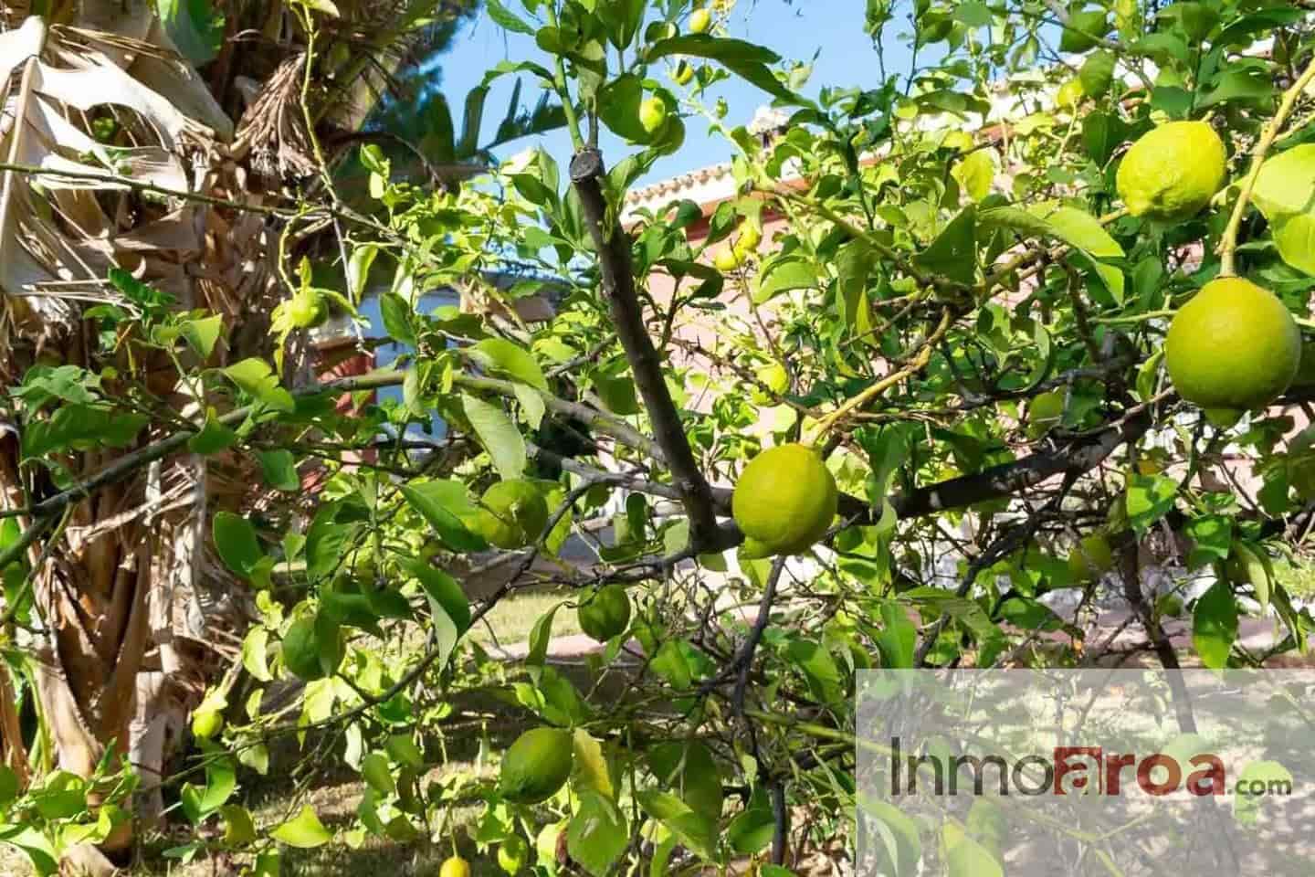 7 soveværelse Villa til salg i La Pobla de Vallbona med swimmingpool garage - € 830.000 (Ref: 9074684)