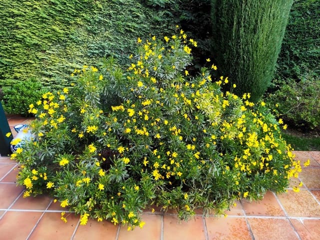 4 quarto Moradia para venda em Navata com piscina garagem - 435 000 € (Ref: 9498128)