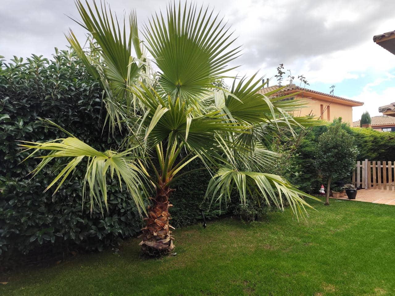 4 bedroom Villa for sale in Navata with pool garage - € 435,000 (Ref: 9498128)