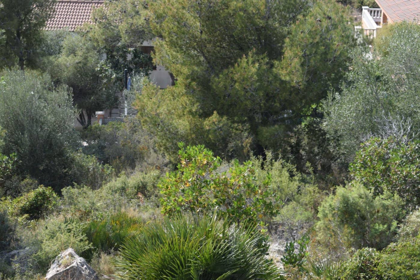 Byggetomt til salgs i Segur de Calafell - € 35 000 (Ref: 7405928)