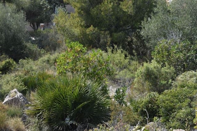 Byggetomt til salgs i Segur de Calafell, Calafell - € 35 000 (Ref: 7405928)