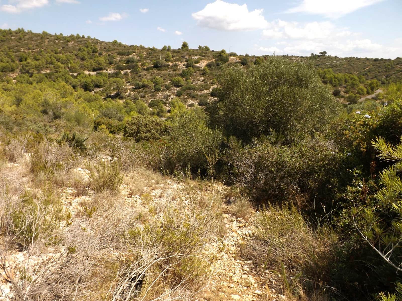 Tomt till salu i Segur de Calafell - 35 000 € (Ref: 9330725)