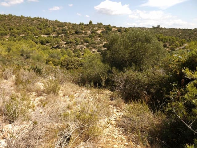 Building Plot for sale in Segur de Calafell, Calafell - € 35,000 (Ref: 9330725)