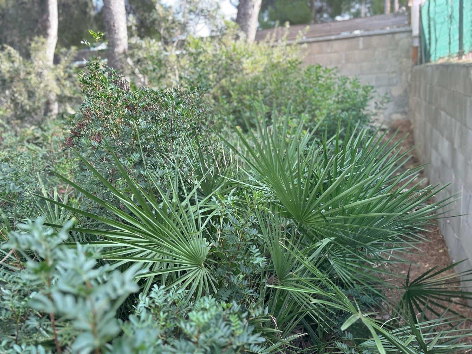 Terreno para Construção para venda em Segur de Calafell - 54 000 € (Ref: 9470949)