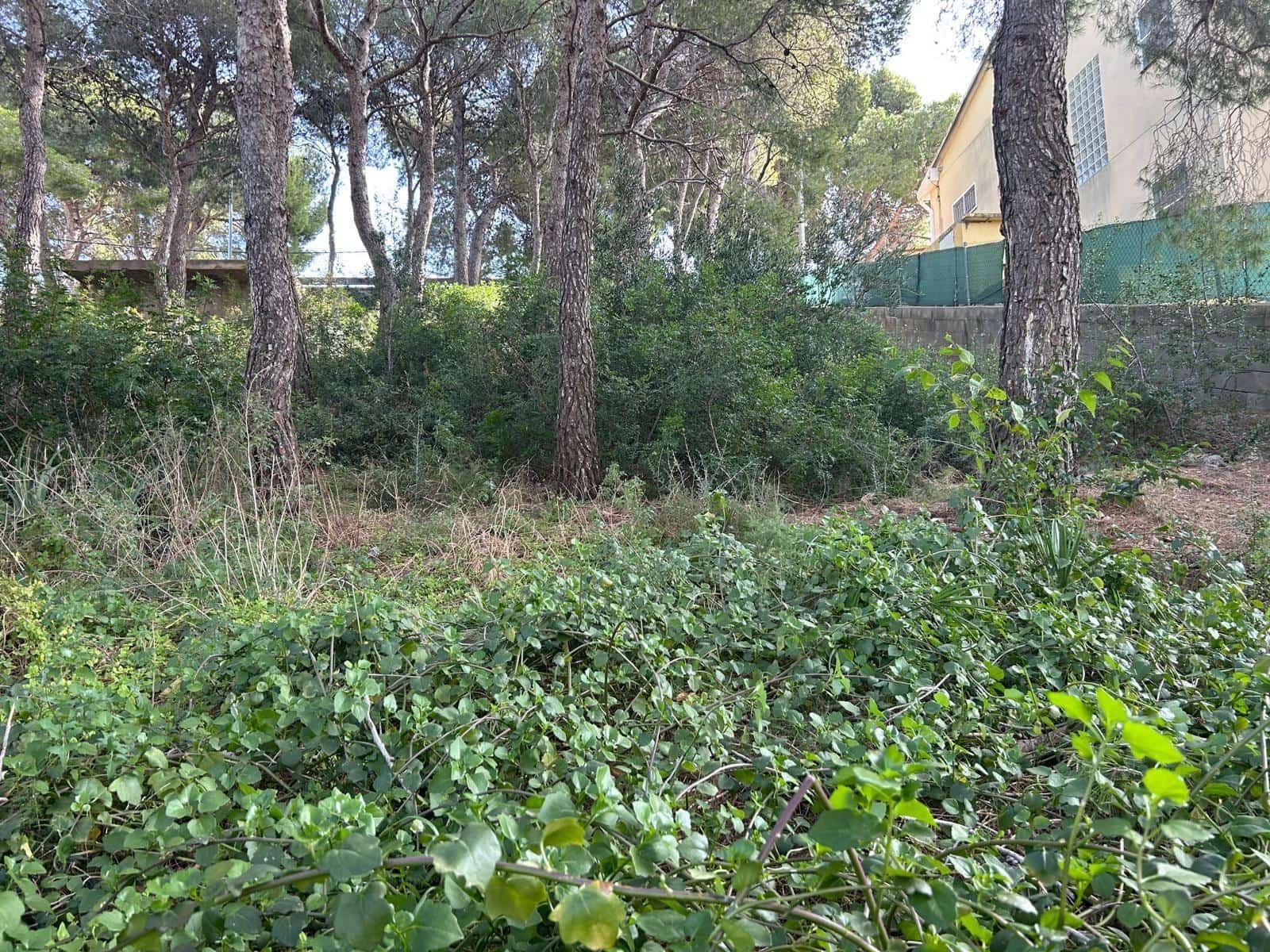 Terreno para Construção para venda em Segur de Calafell - 54 000 € (Ref: 9470949)