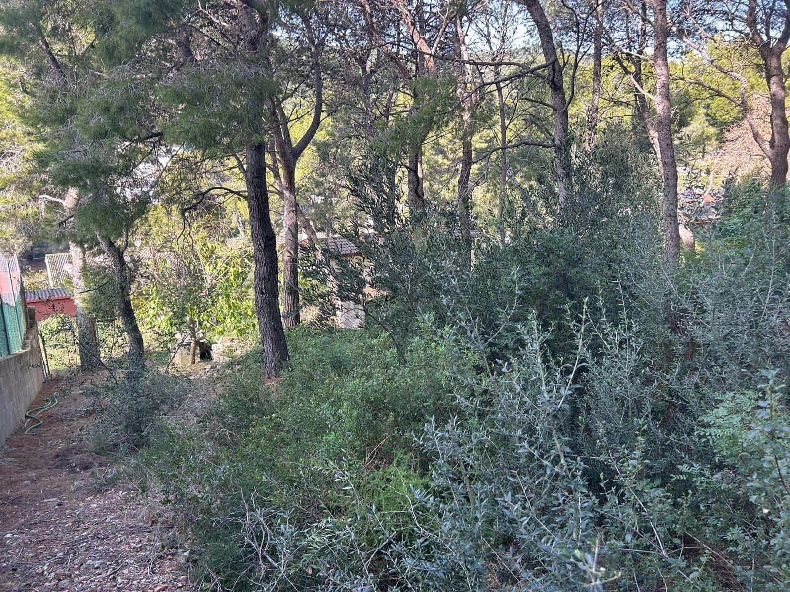 Terreno para Construção para venda em Segur de Calafell - 54 000 € (Ref: 9470949)