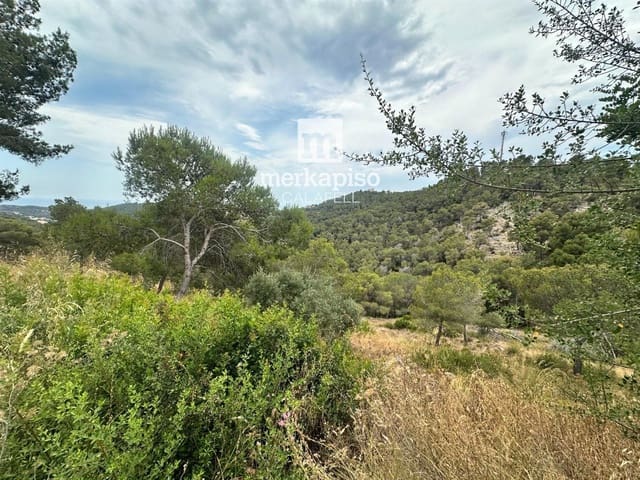 Byggegrund til salg i Castellet i la Gornal - € 40.000 (Ref: 9535027)