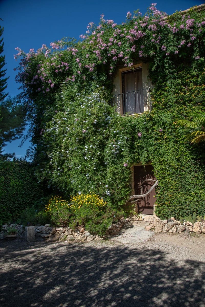 9 camera da letto Finca/Casa di Campagna in vendita in Sant Jaume dels Domenys con garage - 3.600.000 € (Rif: 10089734)