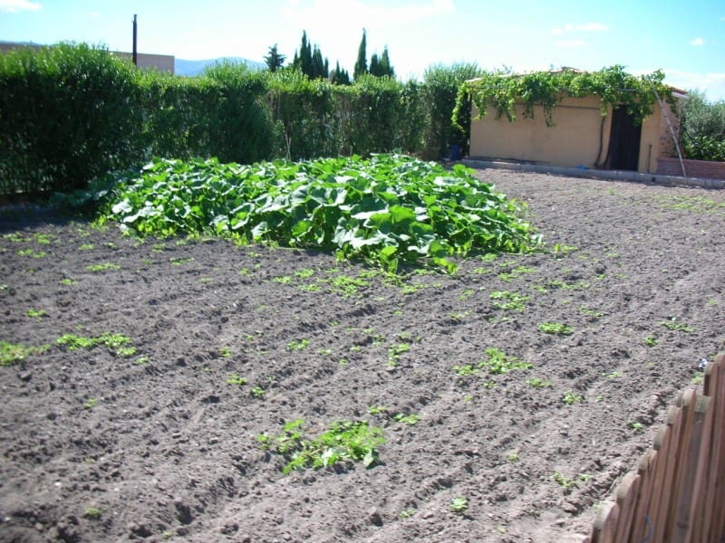 3 soveværelse Finca/Landehus til salg i Sant Carles de la Rapita med swimmingpool - € 420.000 (Ref: 6186941)