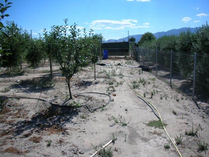 3 soveværelse Finca/Landehus til salg i Sant Carles de la Rapita med swimmingpool - € 420.000 (Ref: 6186941)