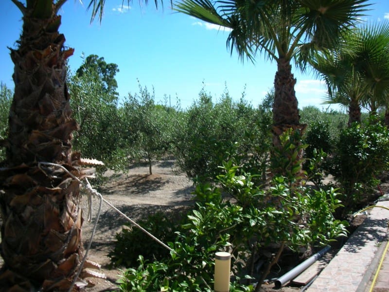 3 soveværelse Finca/Landehus til salg i Sant Carles de la Rapita med swimmingpool - € 420.000 (Ref: 6186941)