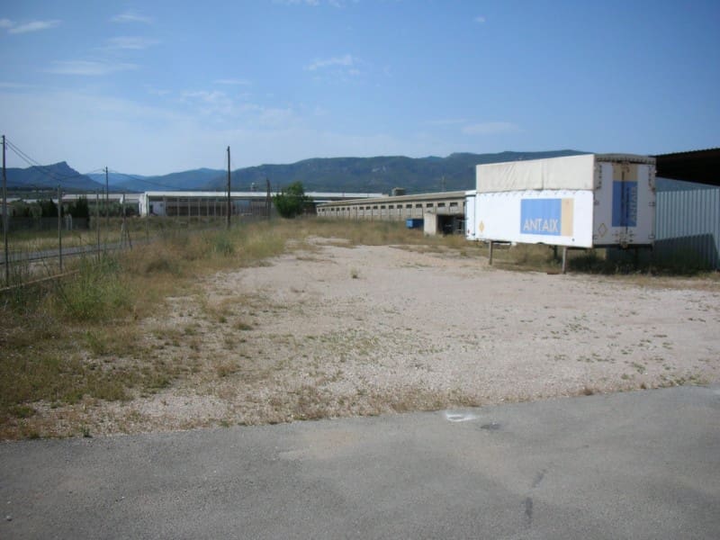 Azienda in vendita in La Senia - 189.000 € (Rif: 6186944)